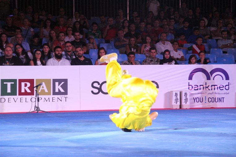 Martial Arts Festival